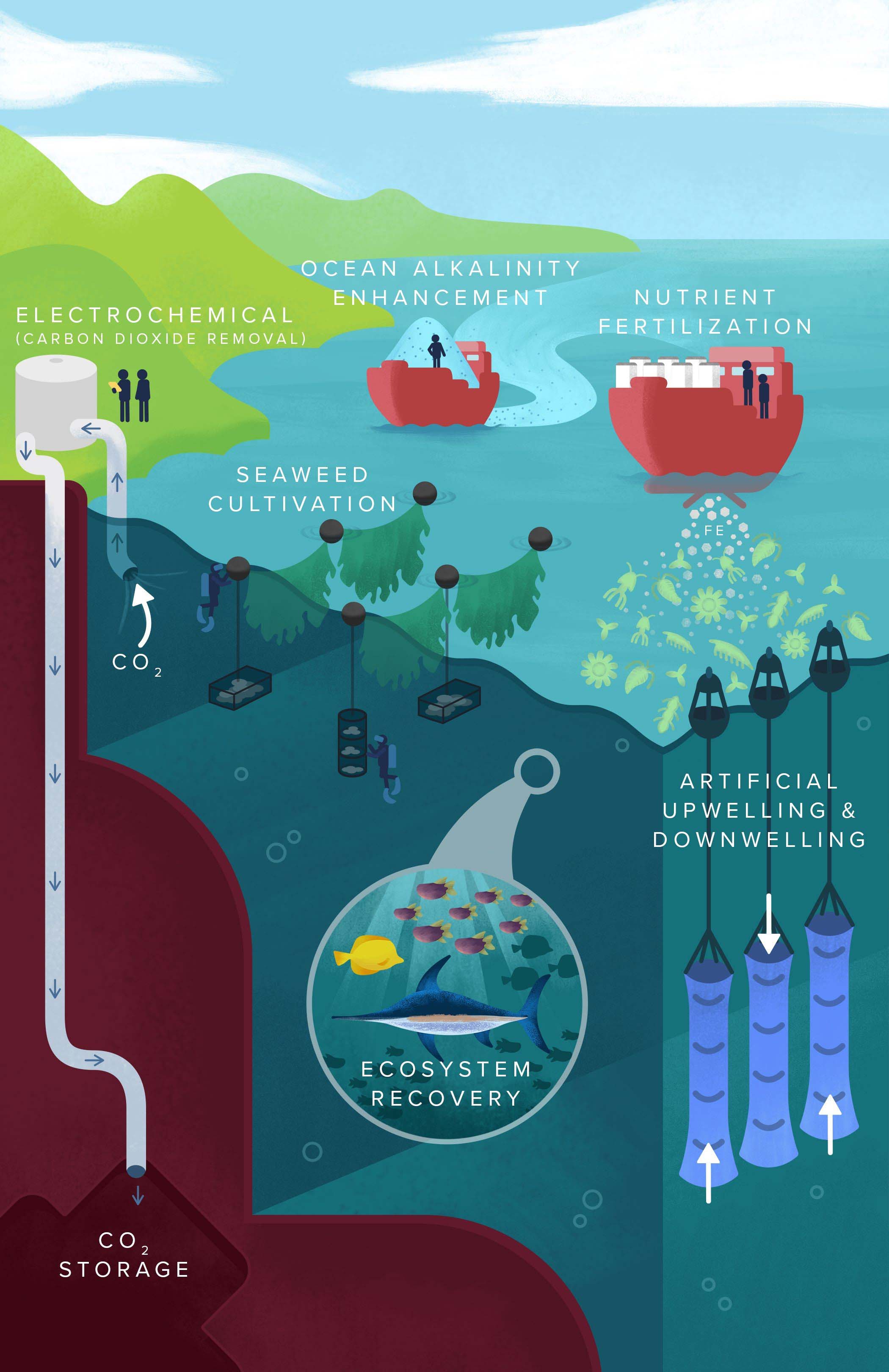 Ocean-based CO2 removal approaches explored in the National Academies’ report 